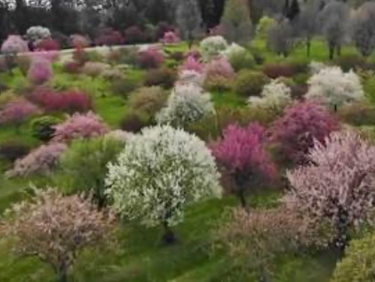 Seacrest-Arboretum