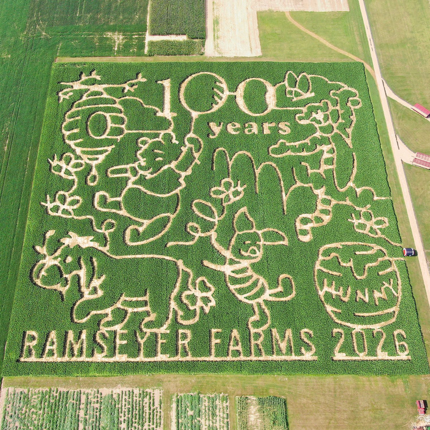 Mystery-Maze-2026-LR-Square - St. Paul Hotel | Boutique Hotel Wooster Ohio Aerial view of a corn maze at Ramseyer Farms 2016, with '100 years' carved in the corn and decorative cartoon outlines throughout the field